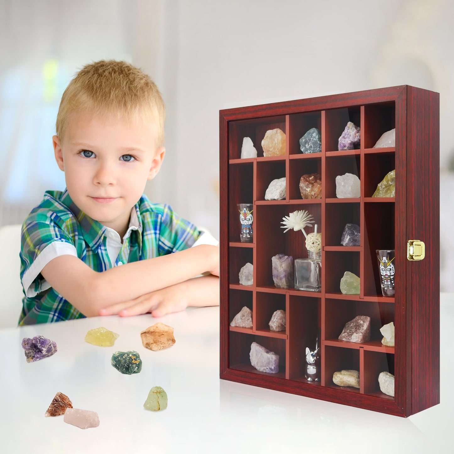 FramePro Rock Display Case - Adjustable Mineral Collection Box with Glass Lid, Wooden Cabinet for Rock, Fossil, Crystal, Seashell Collections - Geology Gift for Adults/Kids (16" x 13.5", Cherry)