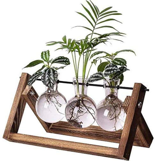 Kingbuy Plant Propagation Station, 3 Glass Bulb Vases with Wooden Stand
