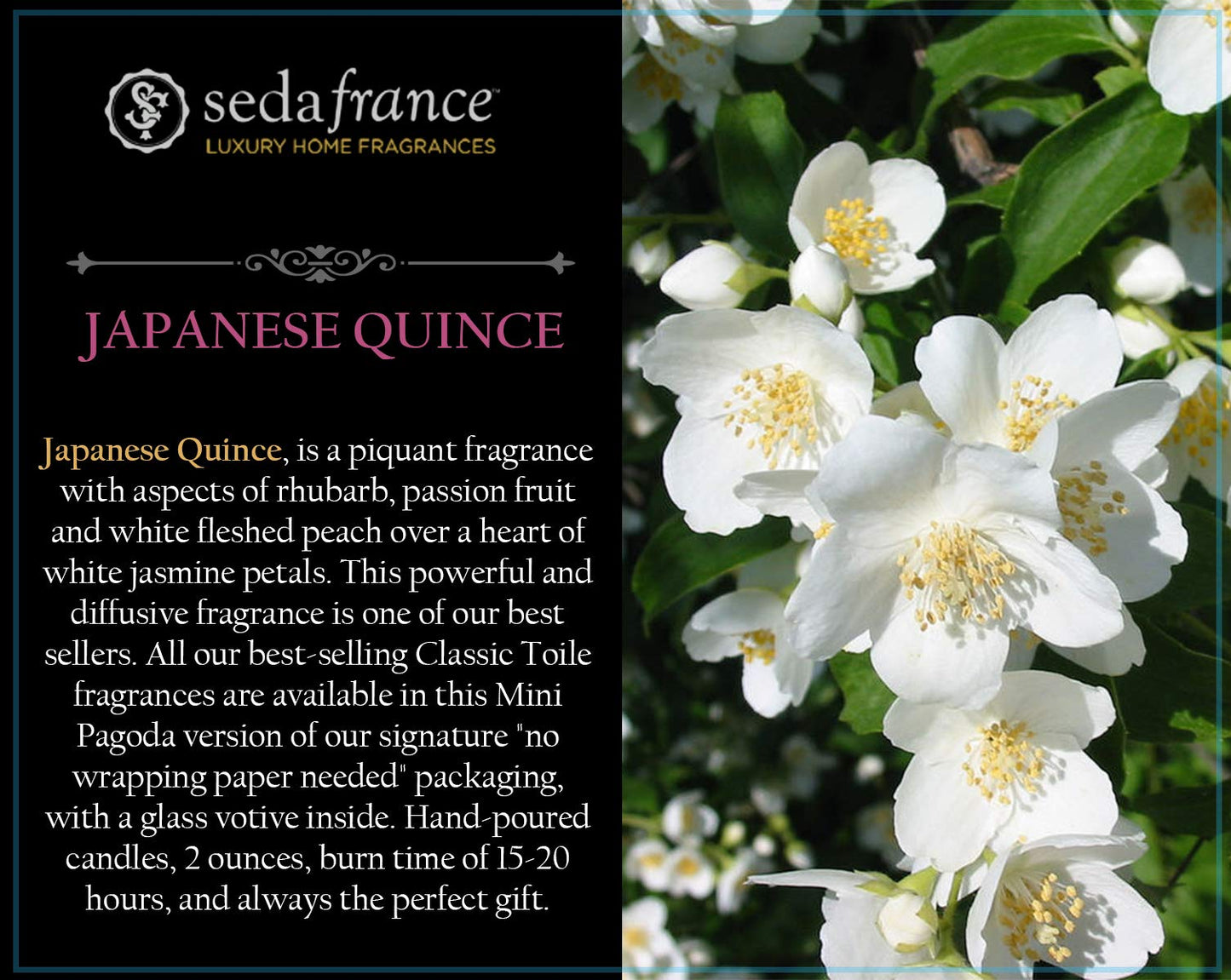 Seda France - Japanese Quince Candle