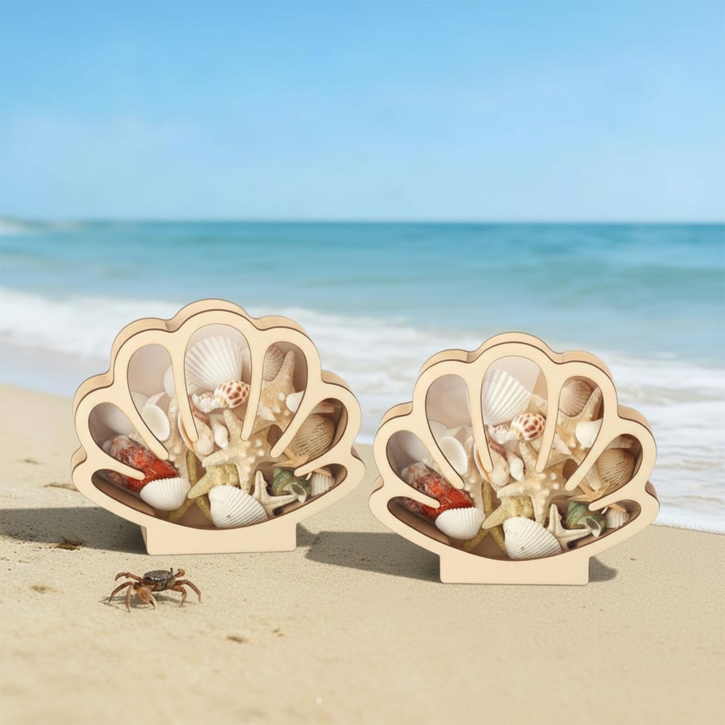 Novabright 2 Pcs Seashell Display Box Wooden Small Starfish Seashell Display Case with Acrylic Clear Window Shark Tooth Collection Box for Sea Rock Home Decor Present for Beach Lovers(Wood)