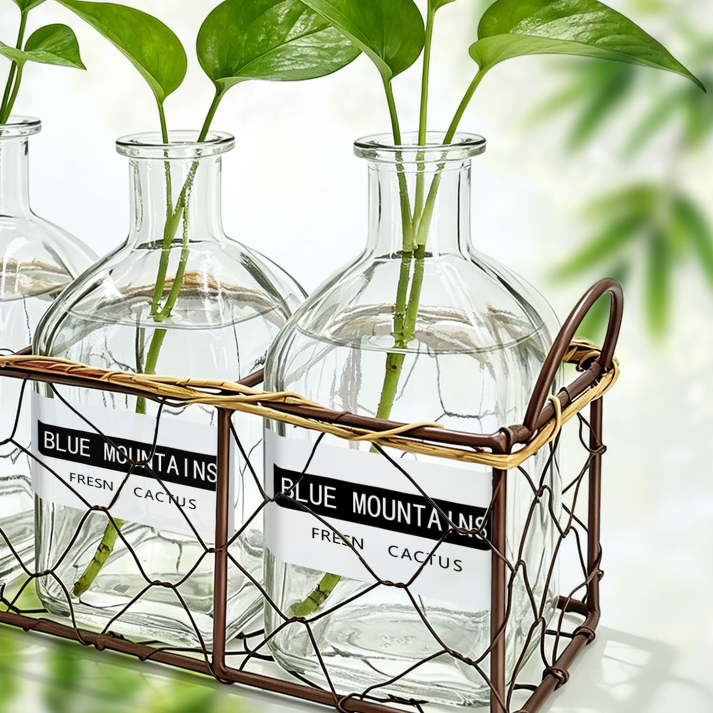 Plant Propagation Stations with Metal Stand, Willow-Woven Wire Mesh Retro Glass Planter for Hydroponic Propagating, Desktop Terrarium Flower Vase for Home Kitchen Office Decor Gifts, 3 Jars