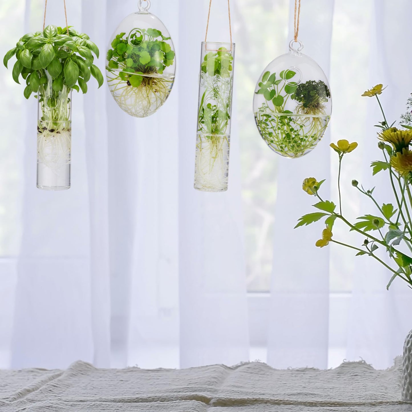 Zopeal 6 Set Wall Hanging Glass Planter Terrarium Propagation Station Vase Container Watering Squeeze Bottle with Rope and Hook for Hydroponic Plants Flower Home Decor Gifts (Elegant Style)