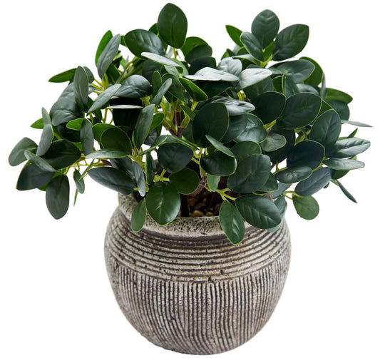 AlphaAcc 8.3'' Artificial Ficus Plant Potted Real Looking Faux Plant Fiddle Leaf Fig in Vintage Textured Cement Planter with Pebbles Compact Fake Plant for Home Office Desk Indoor Decor