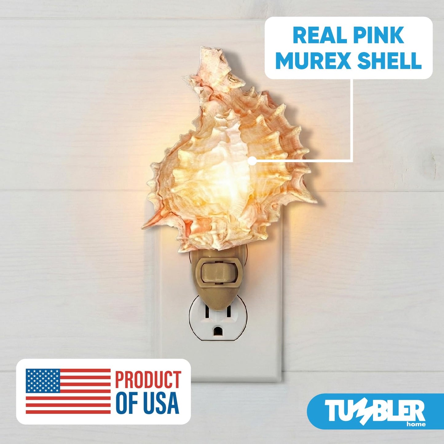 Real Shell Night Light, Seashell Decor for Coastal Bathroom or Beach House