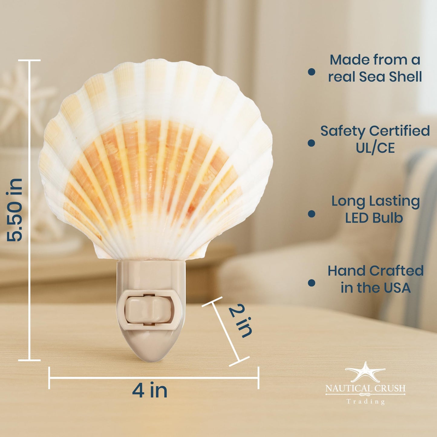 Nautical Crush Trading Seashell Night Light – Beach Night Light with Natural Clam Shell Light for Bathroom – Sea Shell Lamp – Seashell Lamp Plug Into Wall