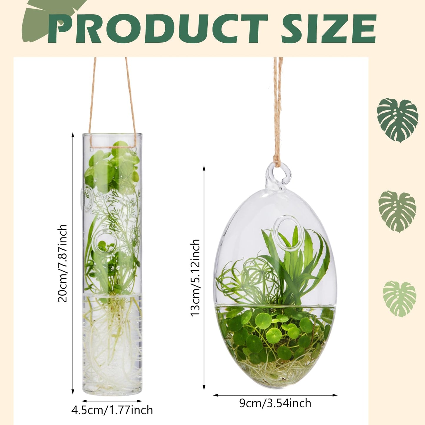 Zopeal 6 Set Wall Hanging Glass Planter Terrarium Propagation Station Vase Container Watering Squeeze Bottle with Rope and Hook for Hydroponic Plants Flower Home Decor Gifts (Elegant Style)