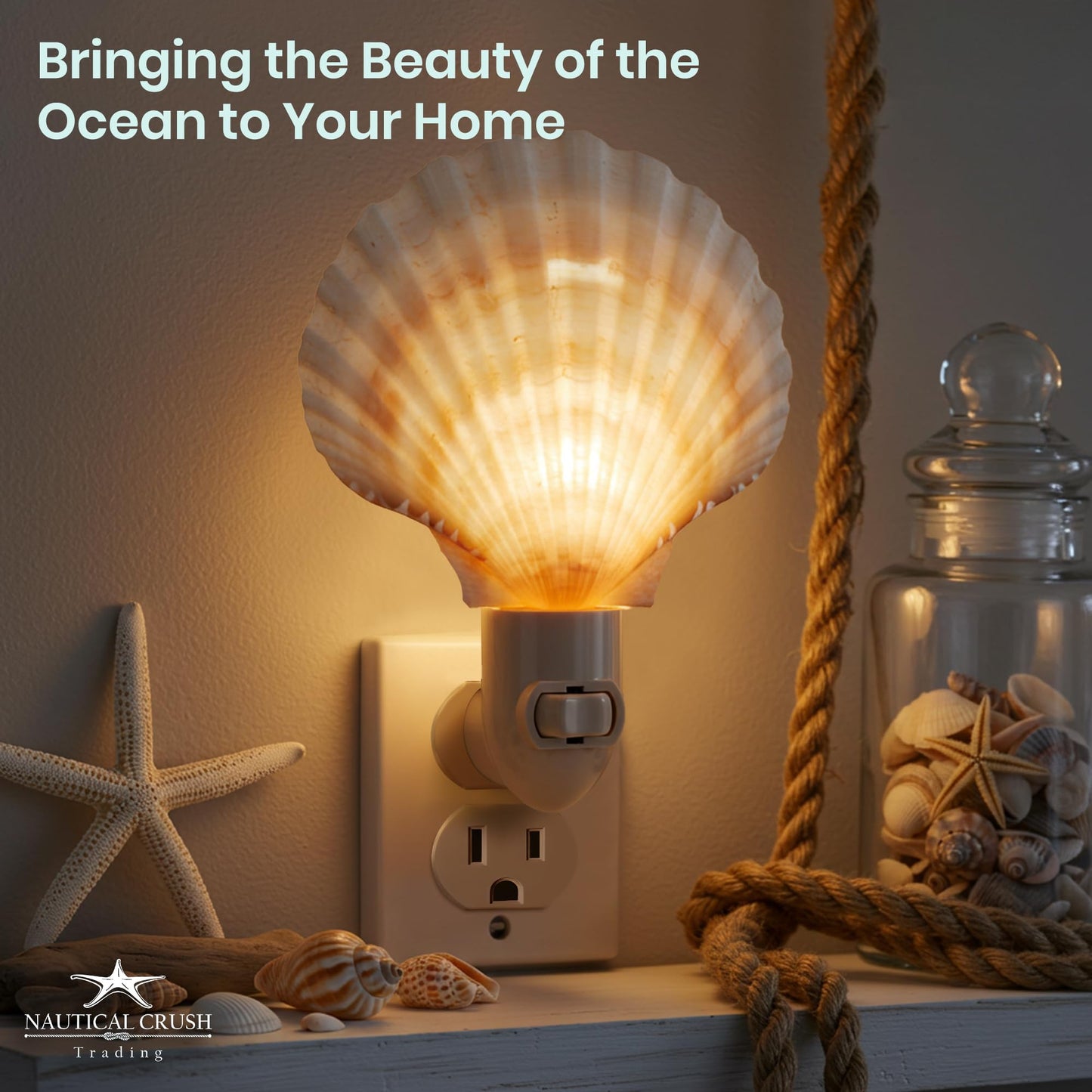 Nautical Crush Trading Seashell Night Light – Beach Night Light with Natural Clam Shell Light for Bathroom – Sea Shell Lamp – Seashell Lamp Plug Into Wall