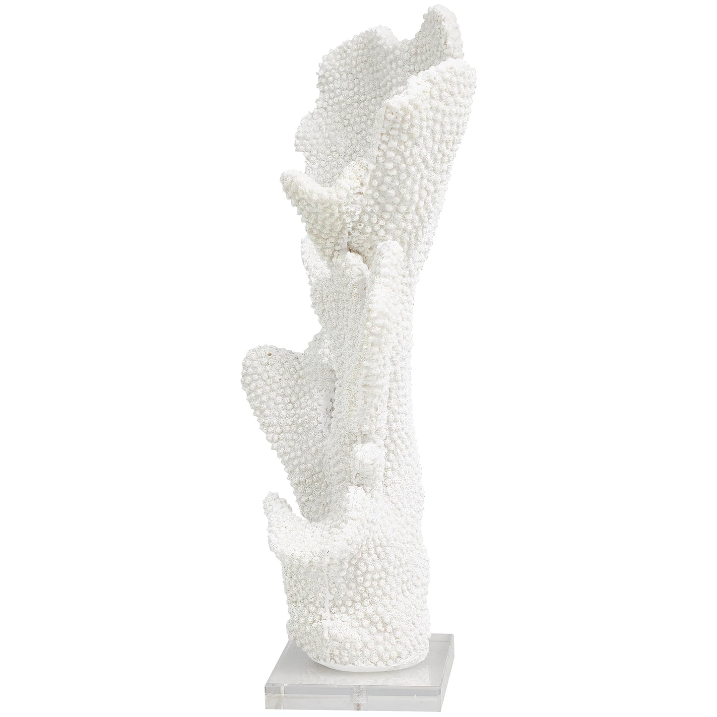 Deco 79 Polystone Coral Decorative Sculpture Tall Textured Home Decor Statue with Clear Acrylic Base, Accent Figurine 12" x 5" x 16", White