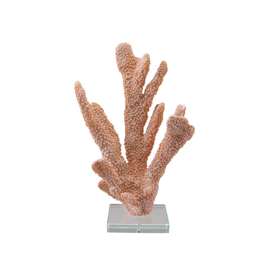 Creative Co-Op Resin Coral Décor with Glass Base, Coral Color
