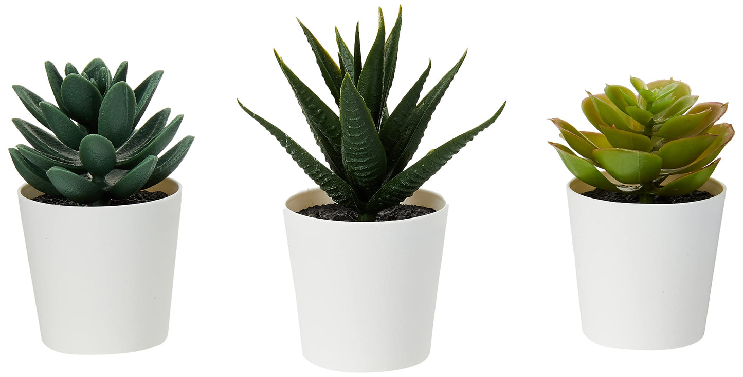 IKEA 203.953.31 Fejka Artificial Potted Plant with Pot, Indoor/Outdoor Succulent