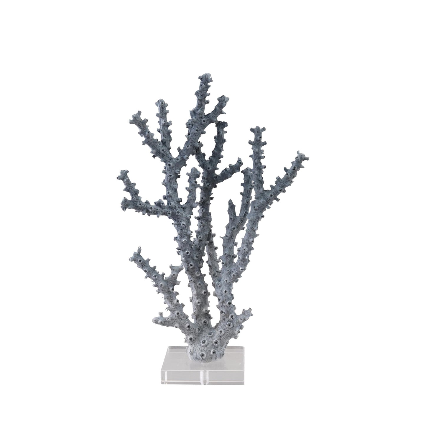 Creative Co-Op Resin Coral Décor with Acrylic Base, Blue
