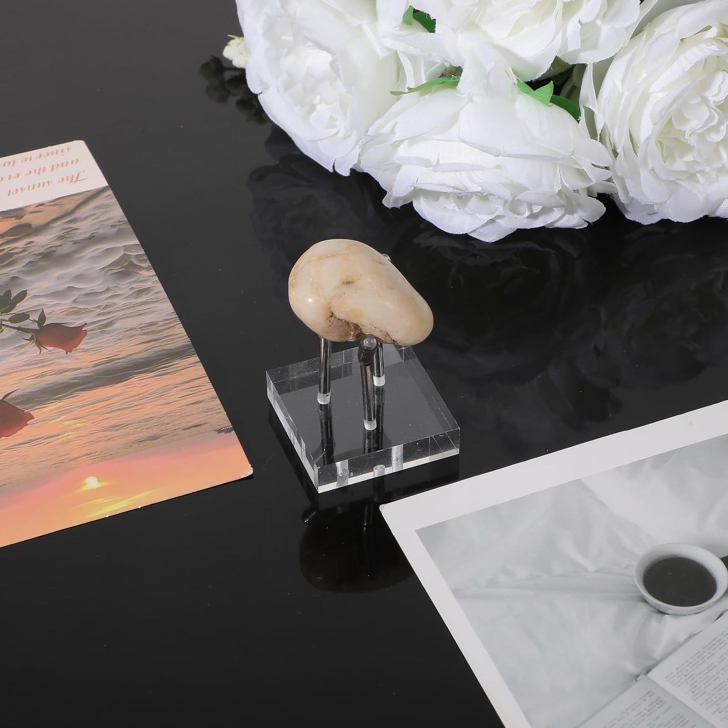 AojSup 8 Pack Clear Acrylic Display Stand, Metal 3 Peg Rock Display Easel Stands 3 Peg Displays Stand for Fossil Coral Crystal Geodes Rock Mineral Agate Small Collectibles Acrylic Holder