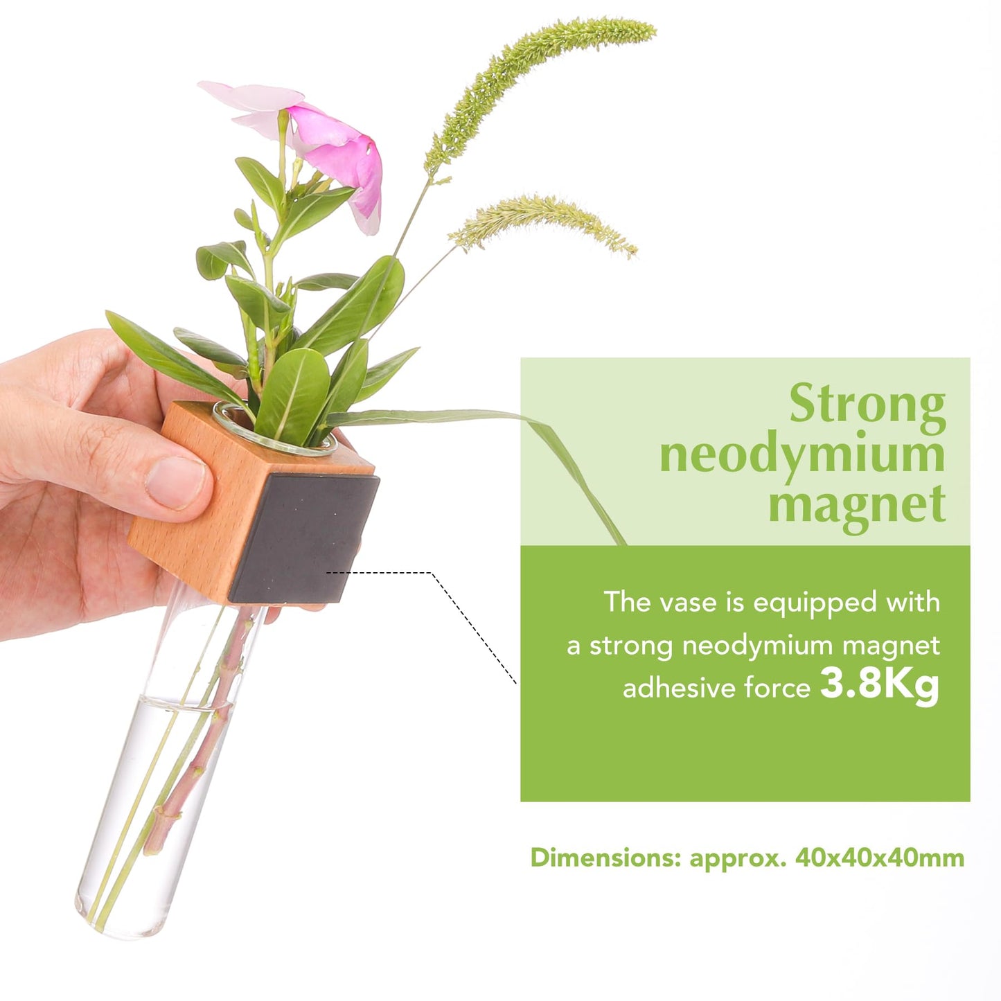 Wooden Wall Planter Glass Plant Propagation Stations Fridge Glass Tube Single Stem Bud Vase 2Pcs/Set Modern Decorative Cube Wood Window Flower Vase Refrigerator Magnetic Mini Glass Vase with Dropper