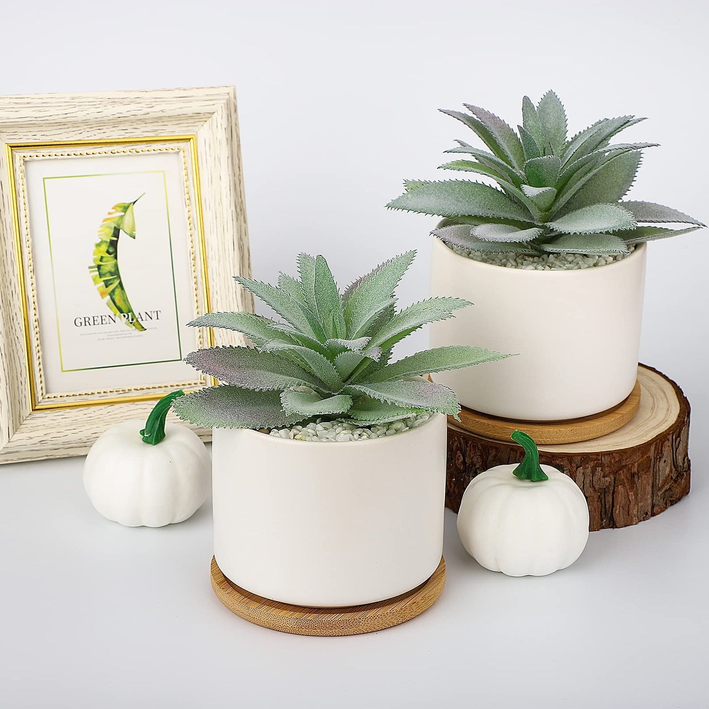 Hopewood Cute Indoor Decor Plants, Artificial Succulent Plants in Ceramic Pots with Bamboo Tray, Faux Potted Plants Set of 3