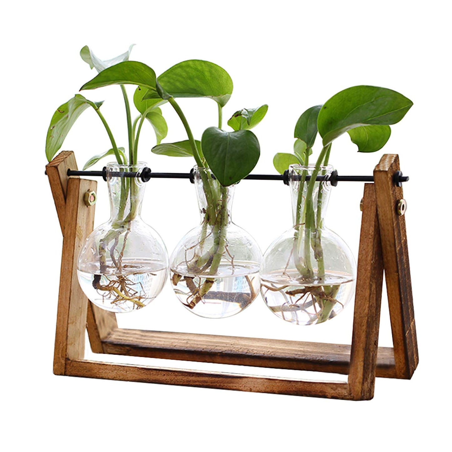 XXXFLOWER Plant Terrarium+Unicorns Indoor Watering Can