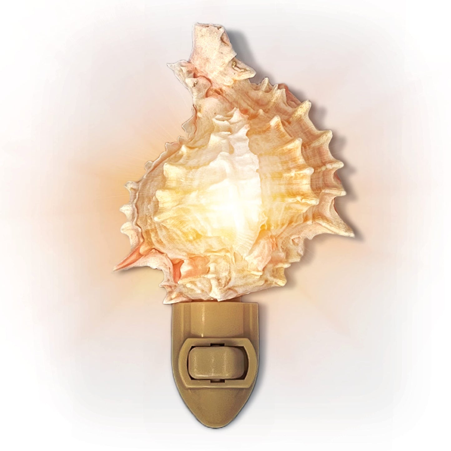 Real Shell Night Light, Seashell Decor for Coastal Bathroom or Beach House
