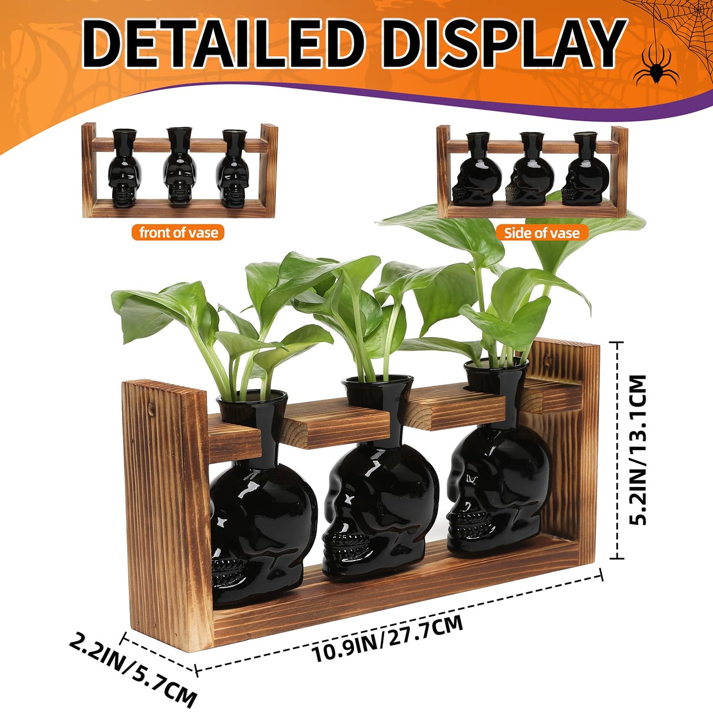 Plant Terrarium Propagation Stations Hydroponics Halloween Skull Planter