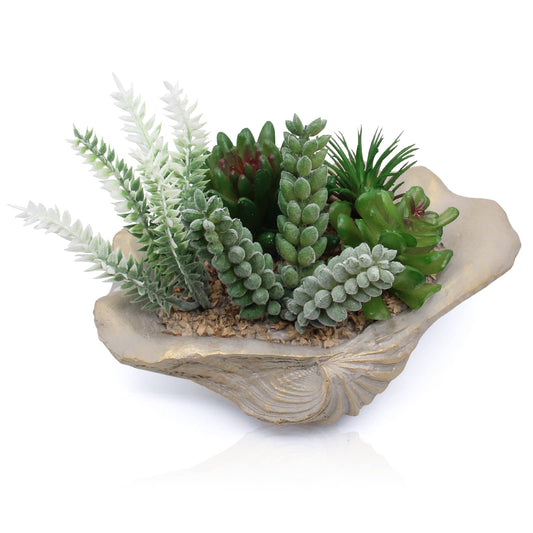 Accessoryway Resin Seashell Bowl Decor with Faux Succulents Coastal Beach Decorations for Home Bathroom Decor Series Home Beach Seashell Decor Theme Party Favors (Without Drainage Hole)…