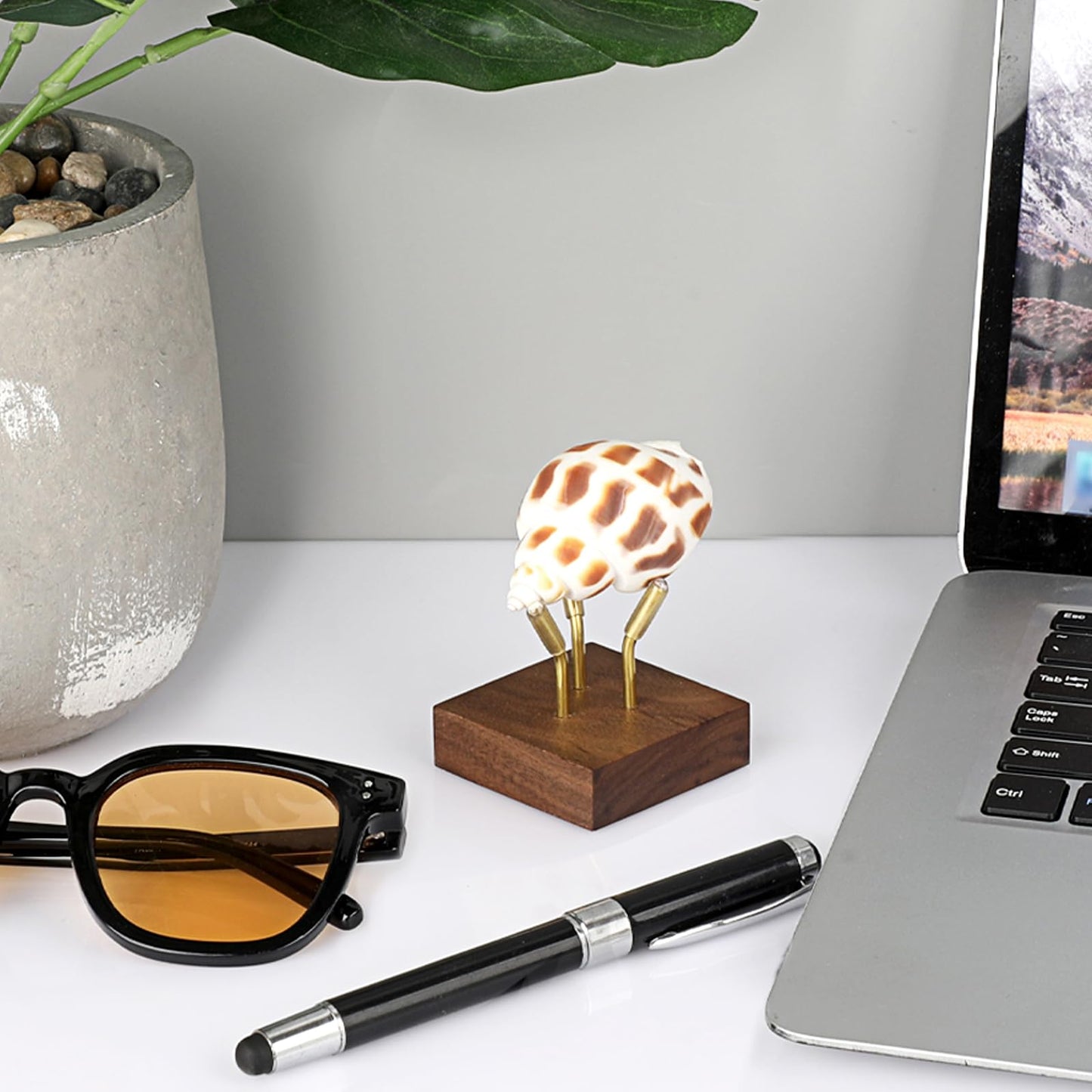 Hipiwe Metal Arm Display Stand Easel with Wooden Base Decorative Display for Sphere Crystal Ball Mineral Geodes Rock Agate Small Collectibles, Medium