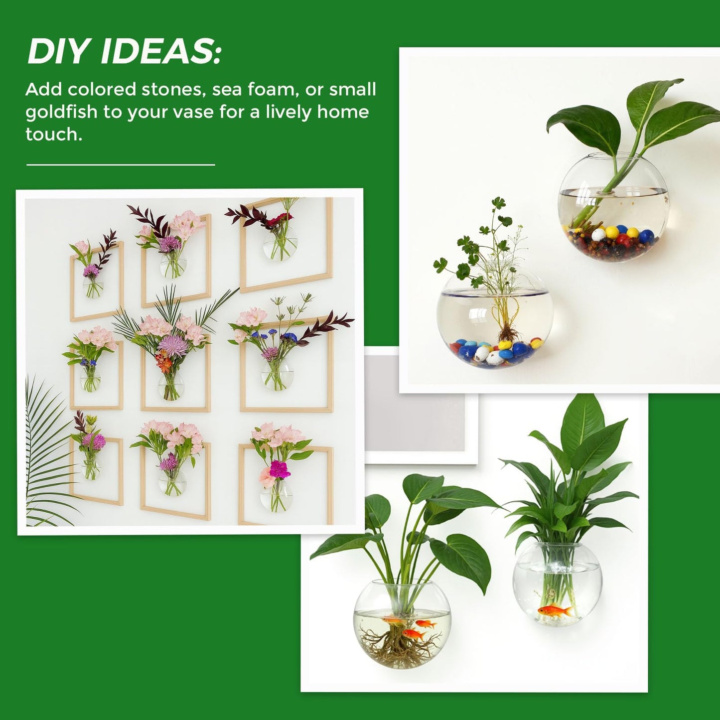 DomeStar Set of 6 Wall Vases, Wall Mounted Propagation Station Hanging Glass Vases Terrarium Station for Hydroponics Plants Home Office Decor
