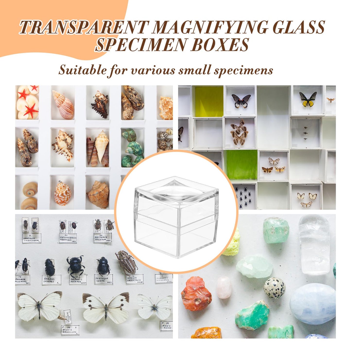 DoubleFill 20 Pack Rock Display Case Clear Rock Collection Boxes Storage 2.5 x Magnifying Rock Boxes Viewer Box for Stone Storage Gemstone Fossil Crystal Stone Collectibles