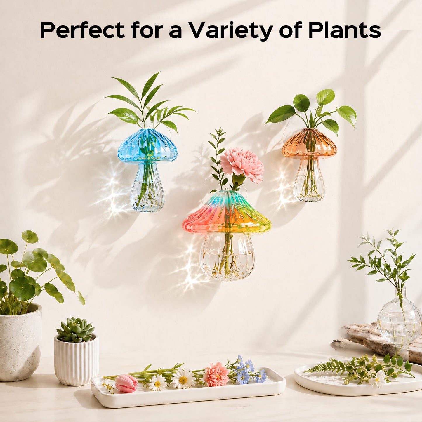 3Pcs Window Propagation Stations, Borosilicate Glass Vases