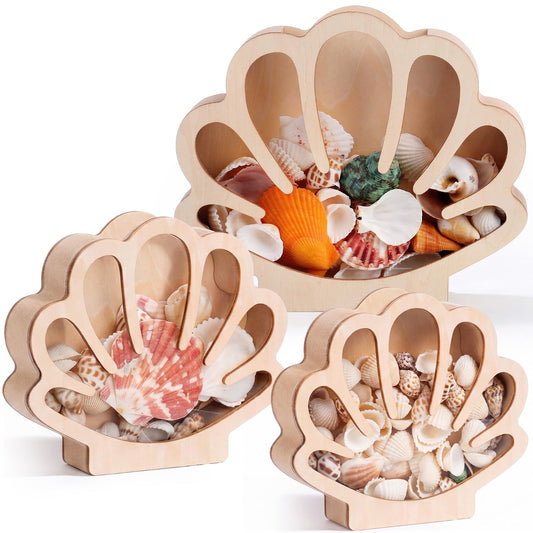 Mifoci 3 Pcs Seashell Display Box Wooden Scallop Shaped Sea Shell Holder with Acrylic Clear Window Starfish Display Case Shadow Box for Sea Glass Shark Tooth Storage Collection Summer Home Decor