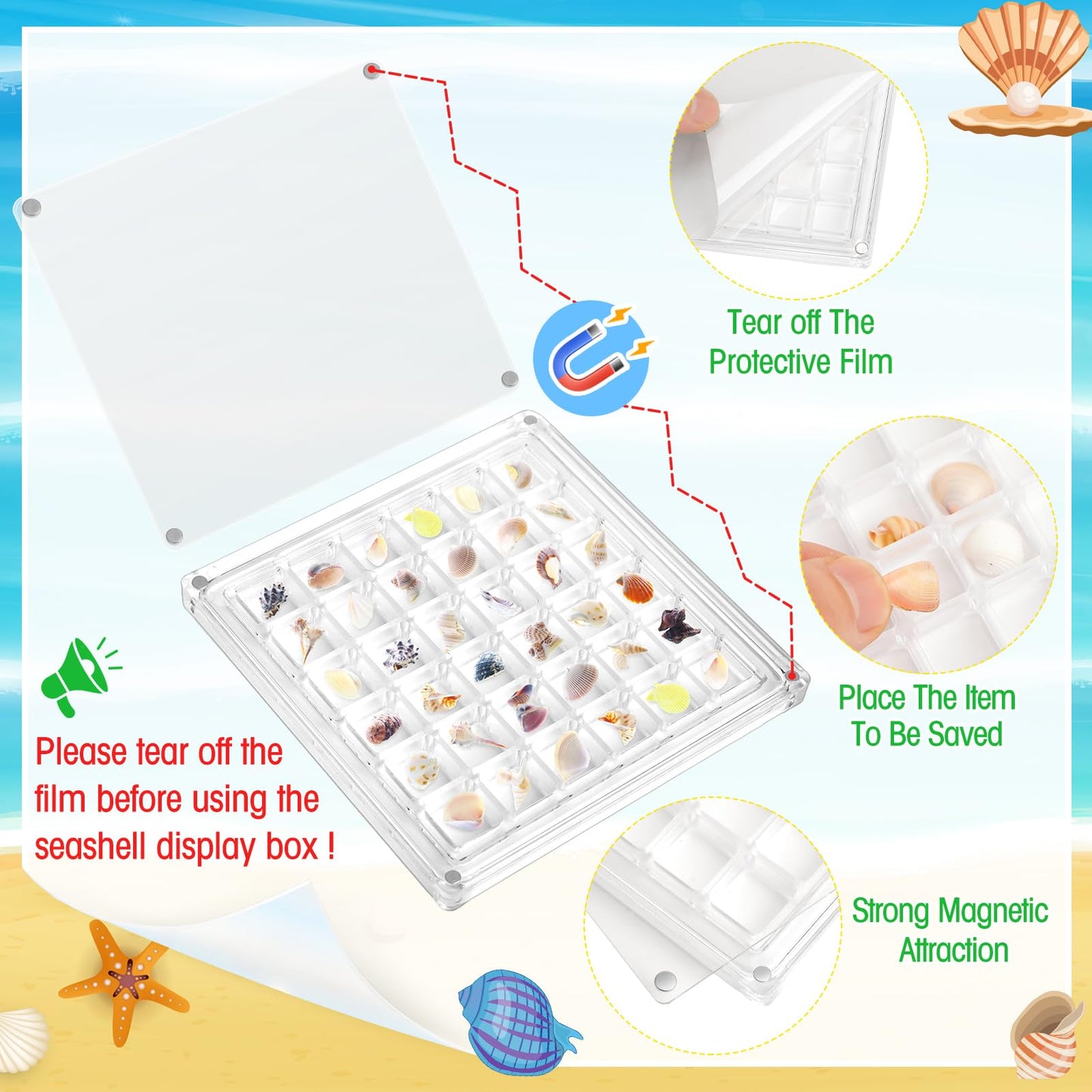 Reallnaive 6 Pcs Acrylic Magnetic Seashell Display Box with Multicolor Base 36 Grids Clear Seashell Collection Box Seashell Storage Organizer for Diamond Gemstone Beads