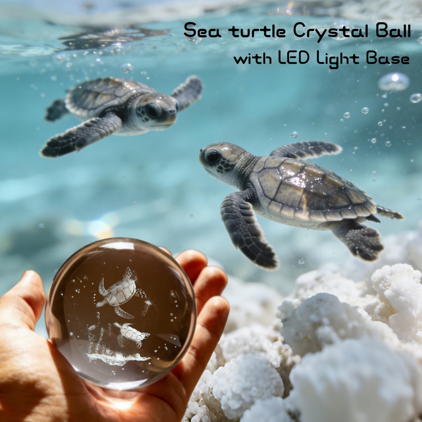 QIANCHANG Sea Turtle 3D Crystal Ball with LED Stand, 80mm Glass Sphere Night Light Lamp, Ocean Animal Crystal Figurines Collectibles, Turtle Lover Gifts for Men & Women