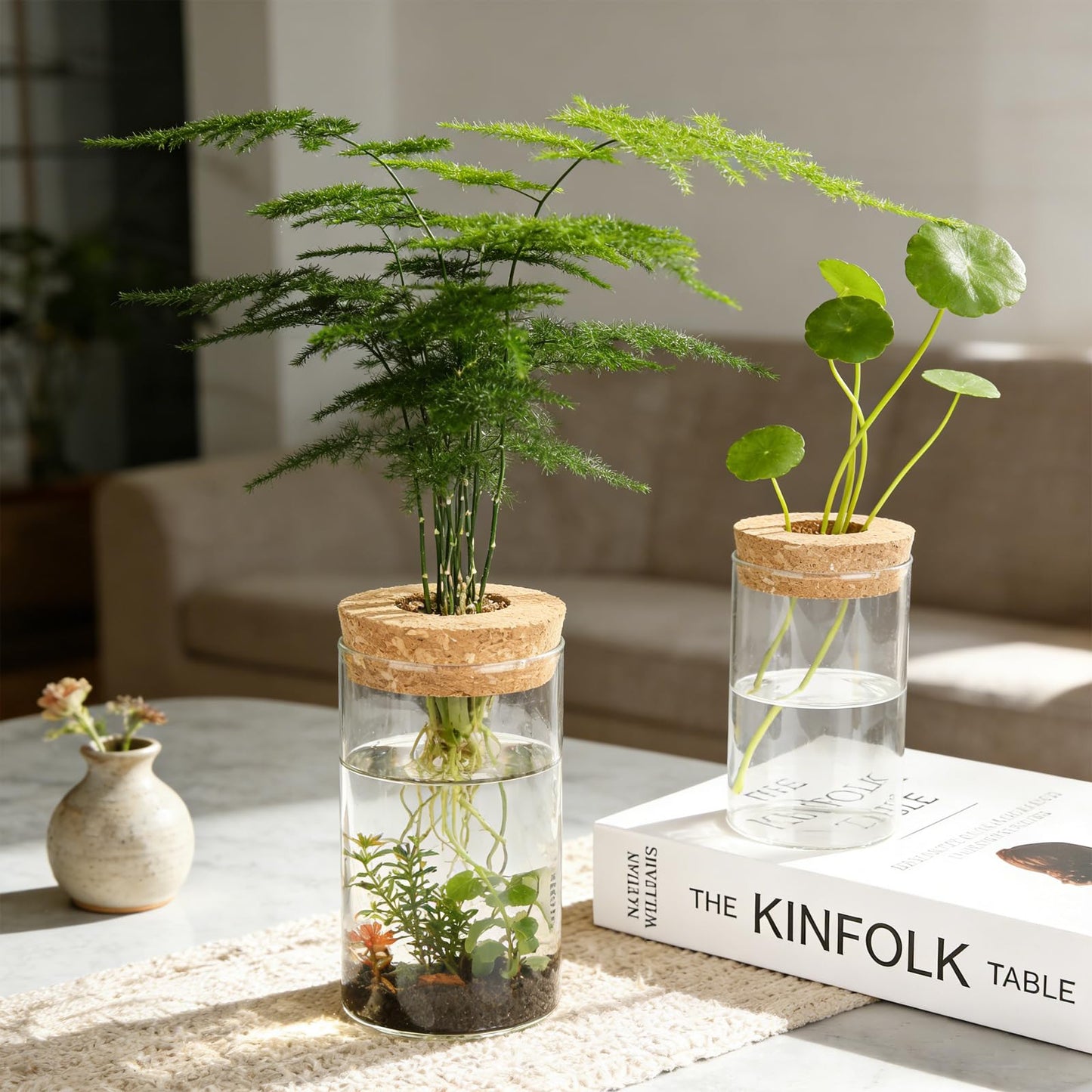 Glass Plant Propagation Station Set of 4, 2 Large and 2 Small Clear Borosilicate Glass Vases for Plant Propagation, Modern Nordic Hydroponic Propagation Stations for Home Office Decor