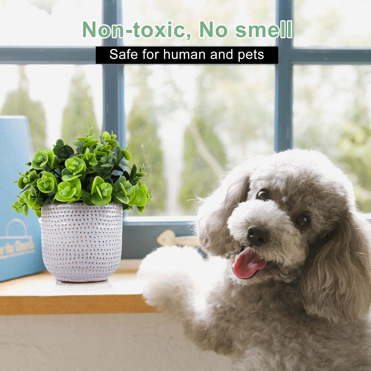 Karlliu Artificial Plants in Ceramic Planter Cute Lysimachia Fake Succulent Flowers Potted for Home Office Table Desk Decor Living Room Bathroom Bedroom Shelves Decoration