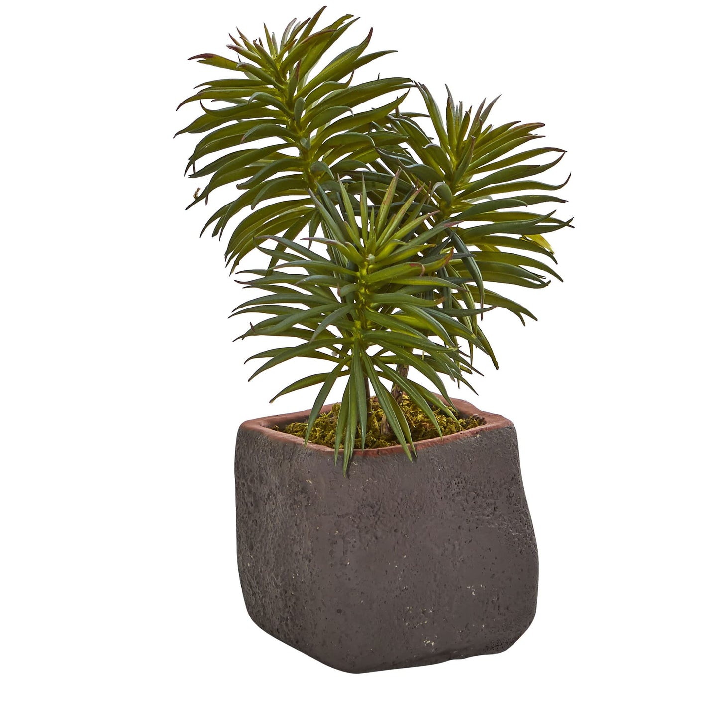 Nearly Natural Mixed Succulent Trio Artificial Plant (Set of 3)