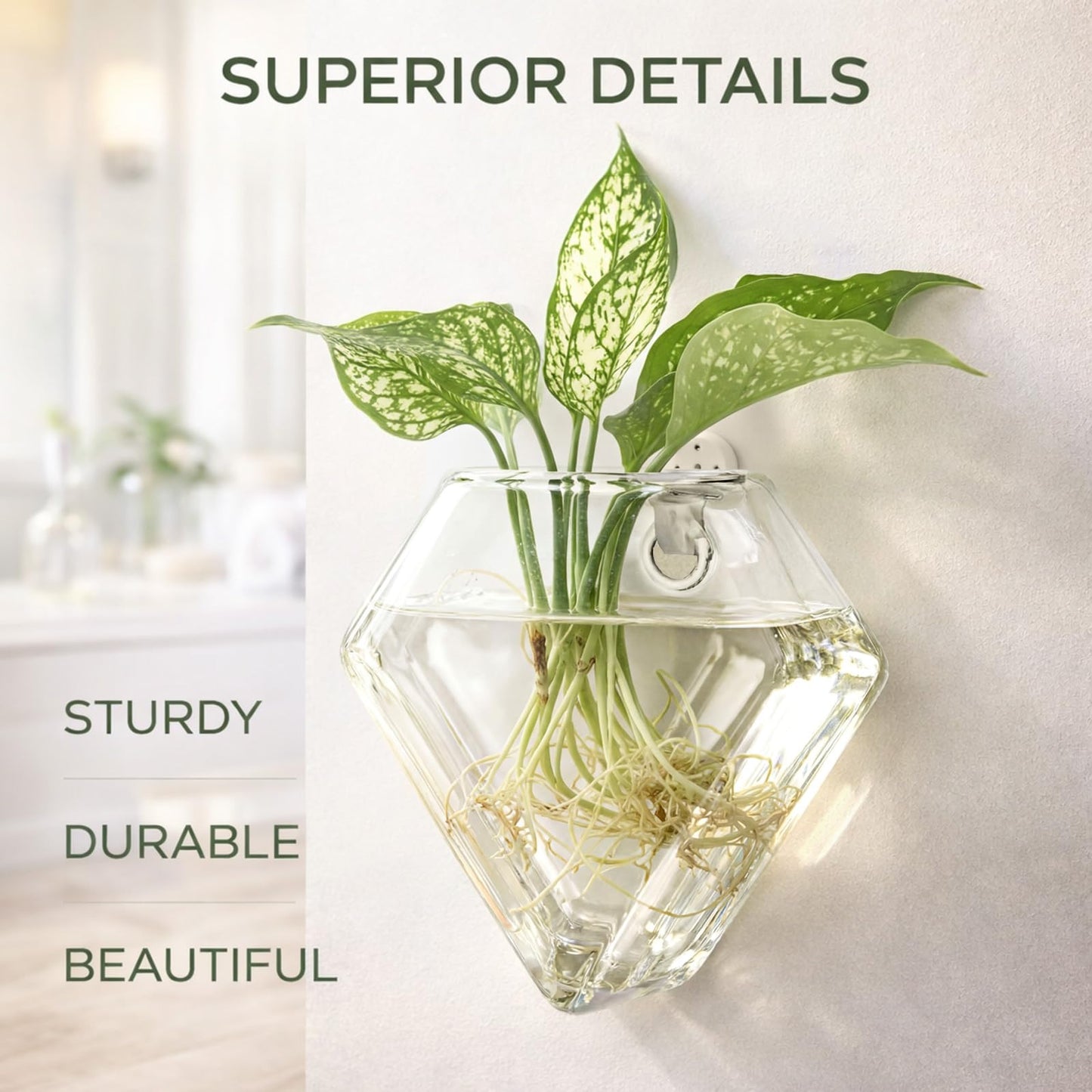 Yungyan 6 Pack Wall Mounted Glass Planter Borosilicate Glass Diamond Hanging Vase with Hidden Invisible Hook Hydroponic Plant Propagation Station Clear Wall Planter for Home Bathroom Office Decor