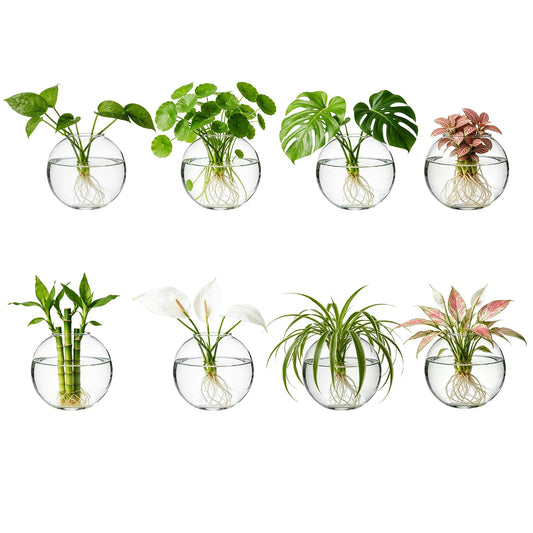 LOLYSIC 8PCS Wall Mounted Vase, Glass Wall Vase Propagation Wallmount Hanging Planters for Hydroponics with Traceless Nails for Home Office Living Room