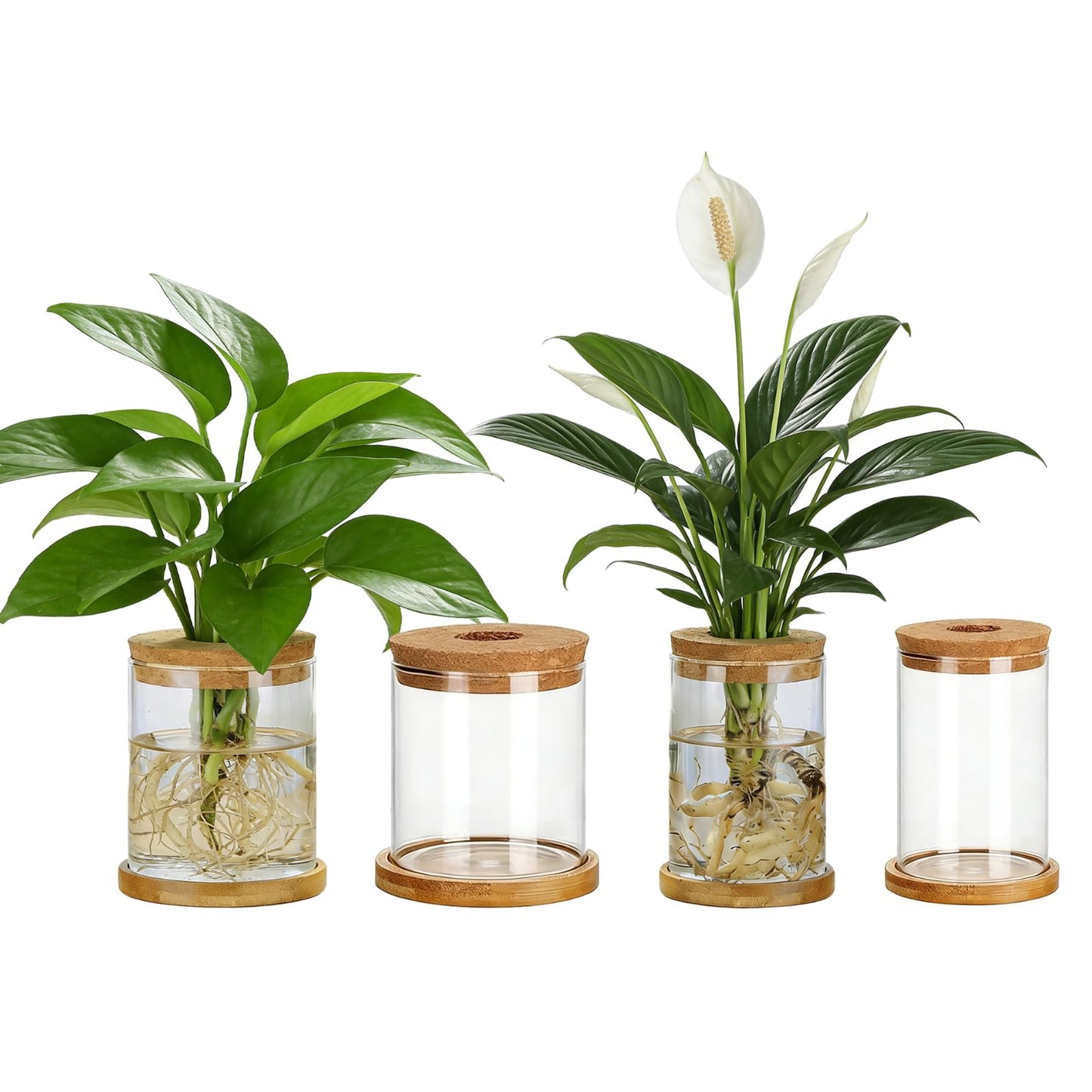 SPRFAIRY 4 Set Glass Plant Propagation Station for Plant 2 Large & 2 Small