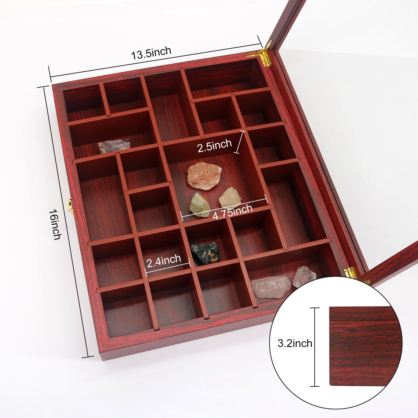 FramePro Rock Display Case - Adjustable Mineral Collection Box with Glass Lid, Wooden Cabinet for Rock, Fossil, Crystal, Seashell Collections - Geology Gift for Adults/Kids (16" x 13.5", Cherry)