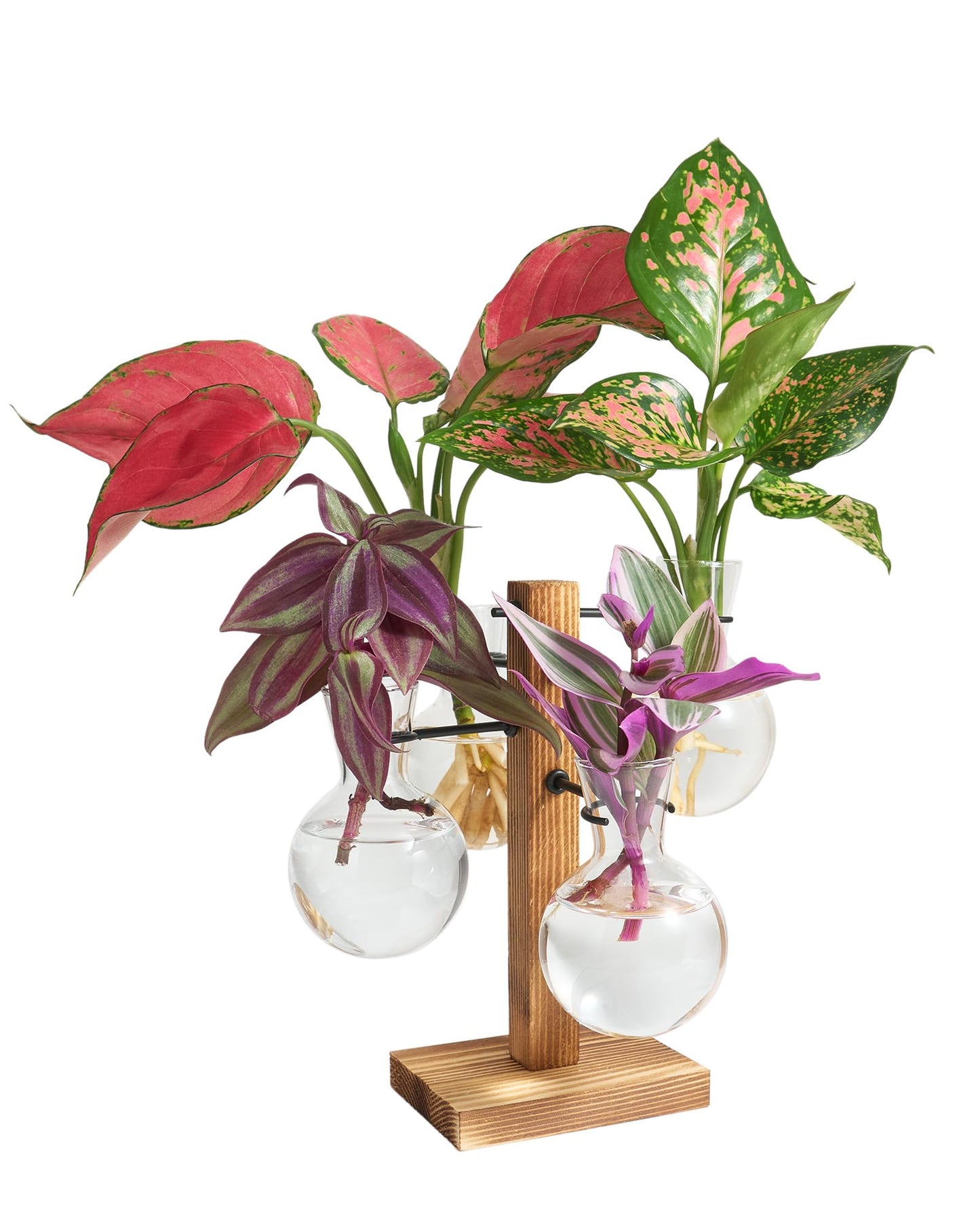 Mihoutal Plant Propagation Stations with Wood Stand, Plant Terrarium for Home Office Garden Decor, Gardening Gifts for Plant Lovers, 4 Glass Propagation Vases (Bulb Shape)