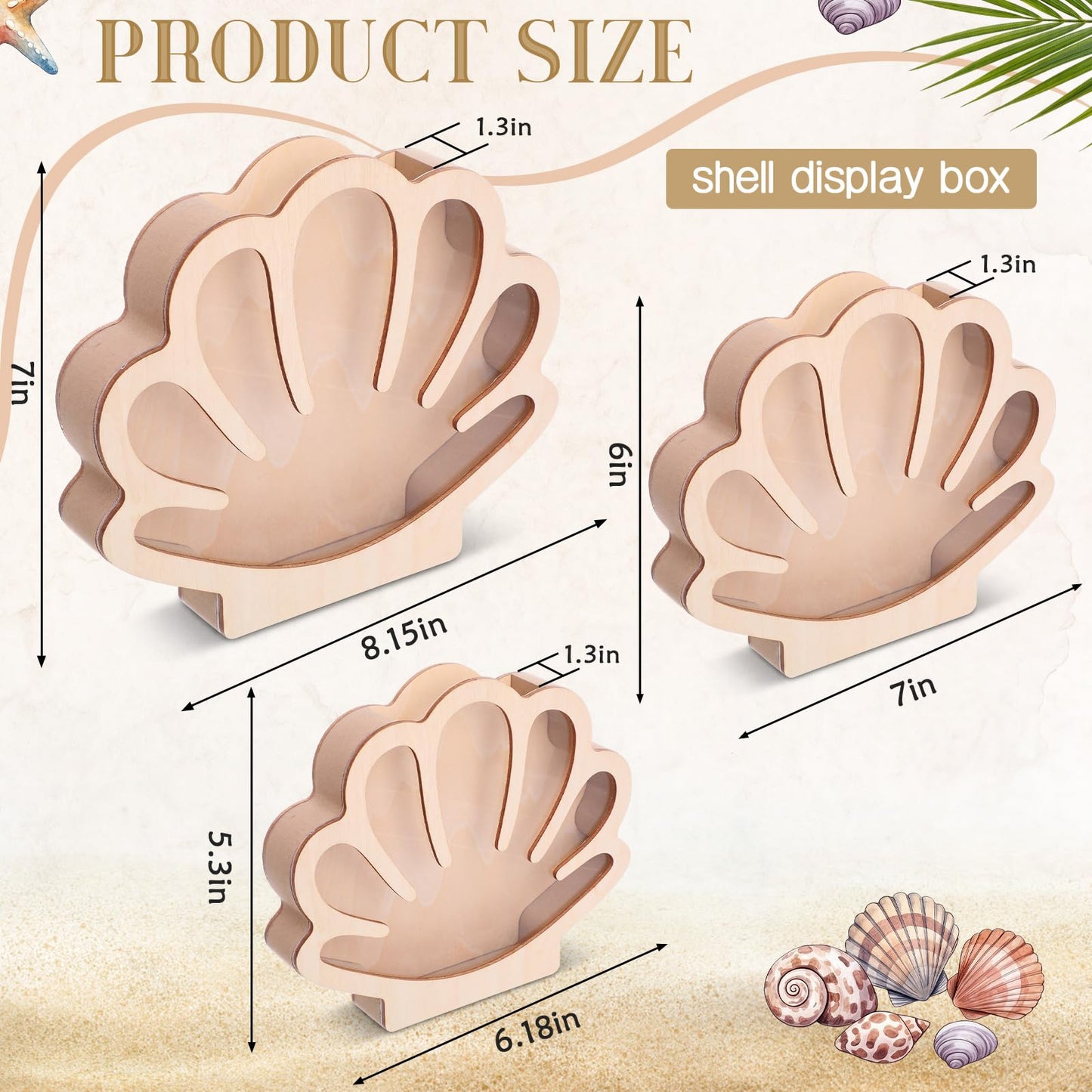 Mifoci 3 Pcs Seashell Display Box Wooden Scallop Shaped Sea Shell Holder with Acrylic Clear Window Starfish Display Case Shadow Box for Sea Glass Shark Tooth Storage Collection Summer Home Decor