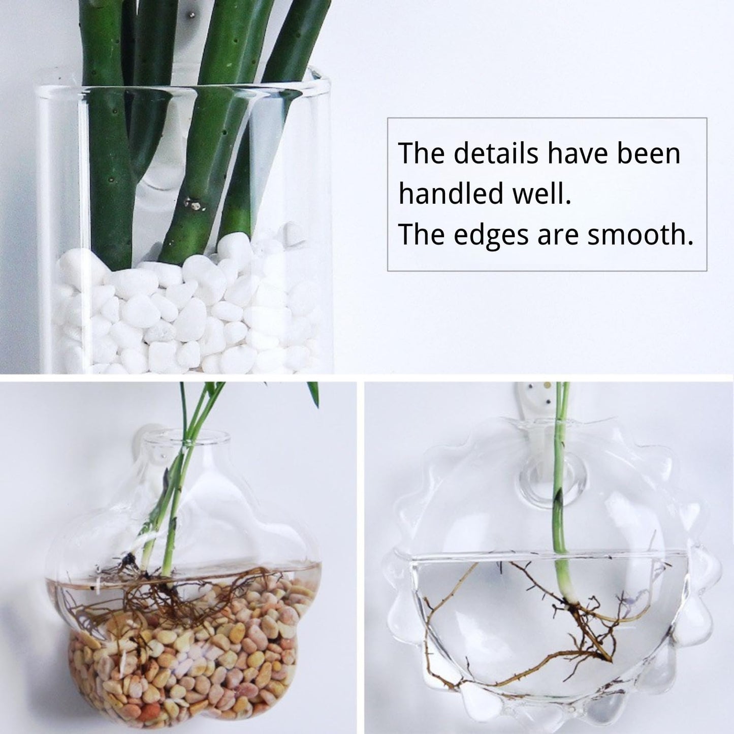 Boxonly Wall-Mounted Acrylic Planter for Hydroponic Plants – Hexagonal Vase Large, Modern Transparent Design for Home & Office Decoration
