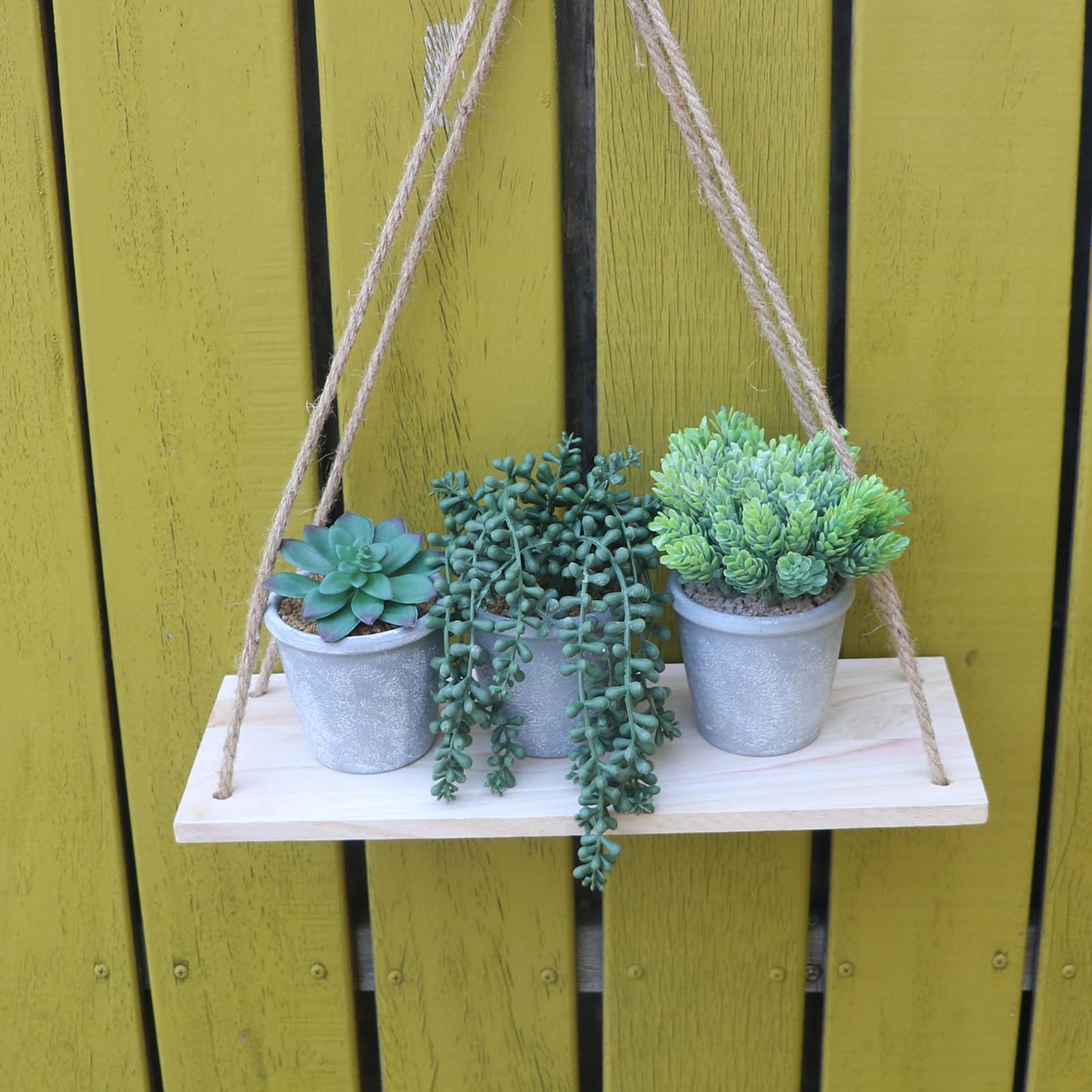 COTSEN 3 Pcs Artificial Succulents Potted Plants Assorted Fake Succulents Potted for Family Office Garden Interior Decor