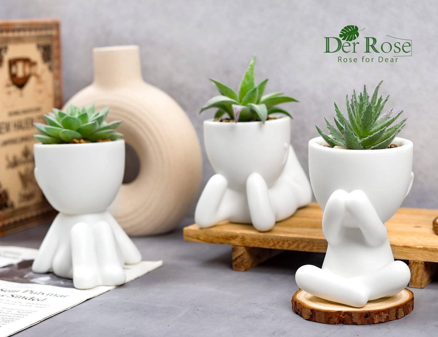 Der Rose Bundle of 3pcs Fake Succulents Plants and 2 Pack Fake Plants Hanging Artificial Succulents Plants for Bathroom Bedroom Home Room Decor
