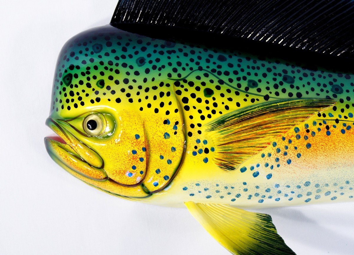 Handpainted Jumbo Green Dolphin Mahi Mahi Wall Mount Decor Plaque Saltwater Game Fish Replica 48