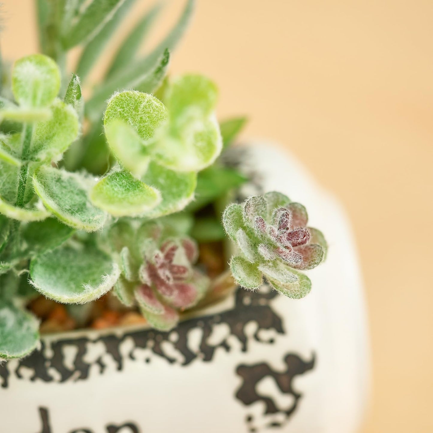 Heleze 10Pcs Artificial Succulents in Pot