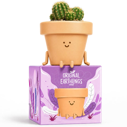 Original Earthlings Legs Out Pot - 4 Inch Cute Plant Pot - Plastic Funny Planter with Drainage, Unique Cactus Plant Lover Gift, Succulent Face Flower Pot, Desk Plant, Table Top Decor, & Home Gifts