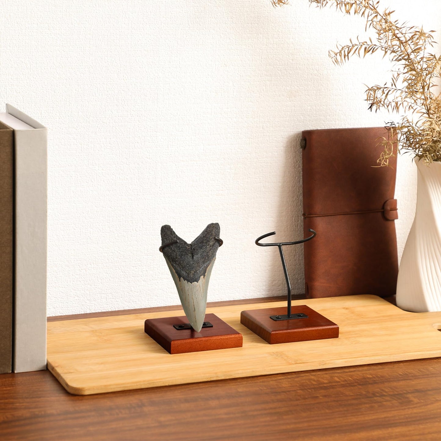 Chunful 2 Pcs Megalodon Shark Tooth Holder Metal Shark Tooth Display Stand with Wood Base for Mineral Agate, Rocks Crystal, Gemstones, Fossils, Coral Geodes, Plate and Photo