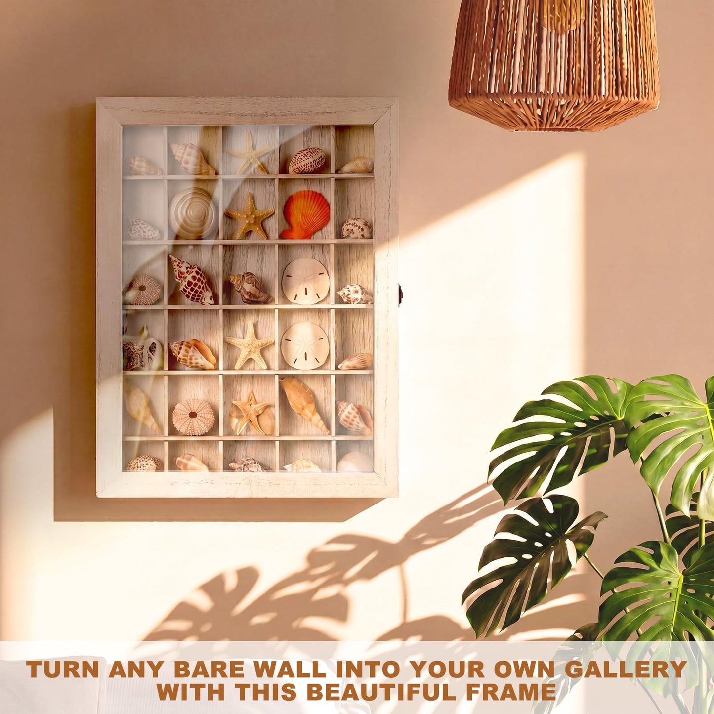 Wonderjune Shell Shadow Box with Shelf Deep Wood Shadow Box Frame Glass Door Display Case with 12/30 Compartments Storage for Collection, Souvenirs, Figures, Wine Bottle Caps, Stamps(12x16 in)