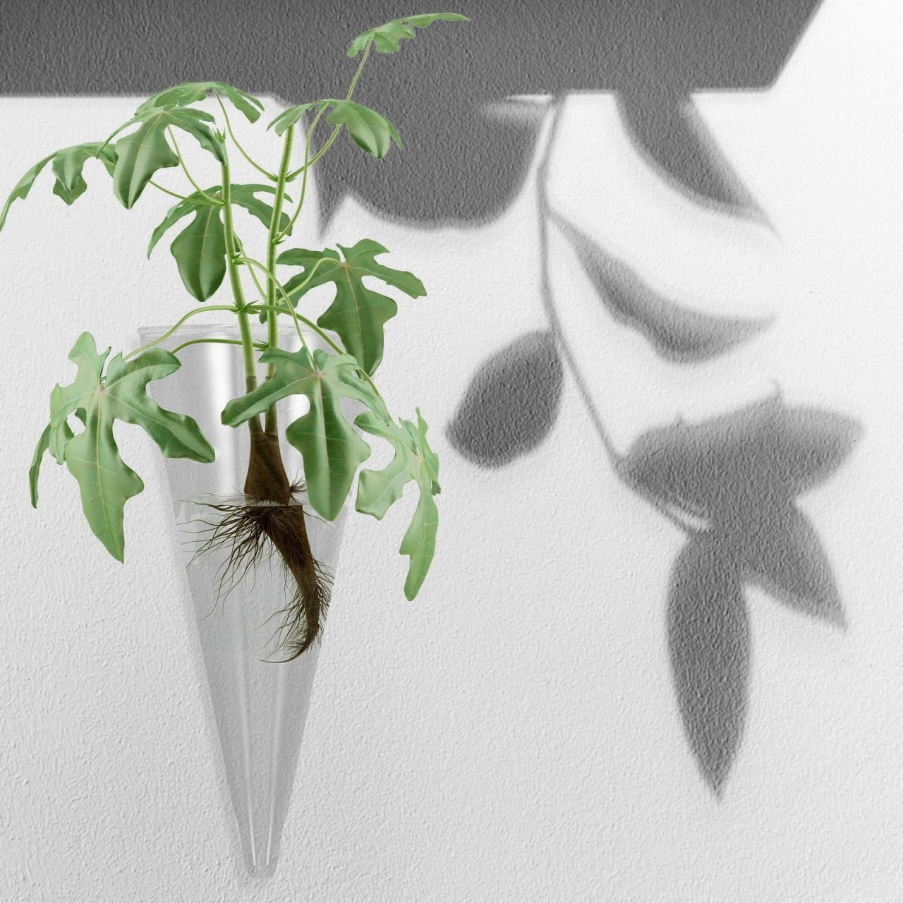 Wakauto Clear Glass Wall Vase Cone Shape Decorative Hanging Planter for Hydroponic Flowers and Greenery Chic Wall Mounted Bud Holder for Home Dorm Office