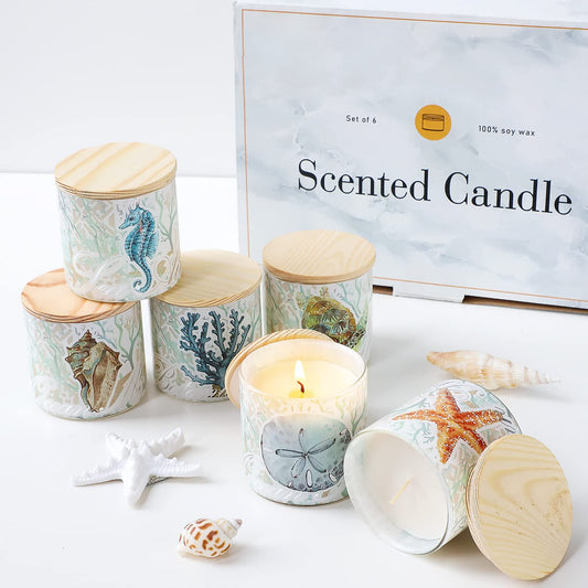 Jar Candles Scented with Lid Gift Set of 6 Ocean Theme Glass Jar Different Fragrance Soy Wax Aromatherapy Candles Take Harsh Smells Away Candle for Home Scented Stress Relief Relaxation