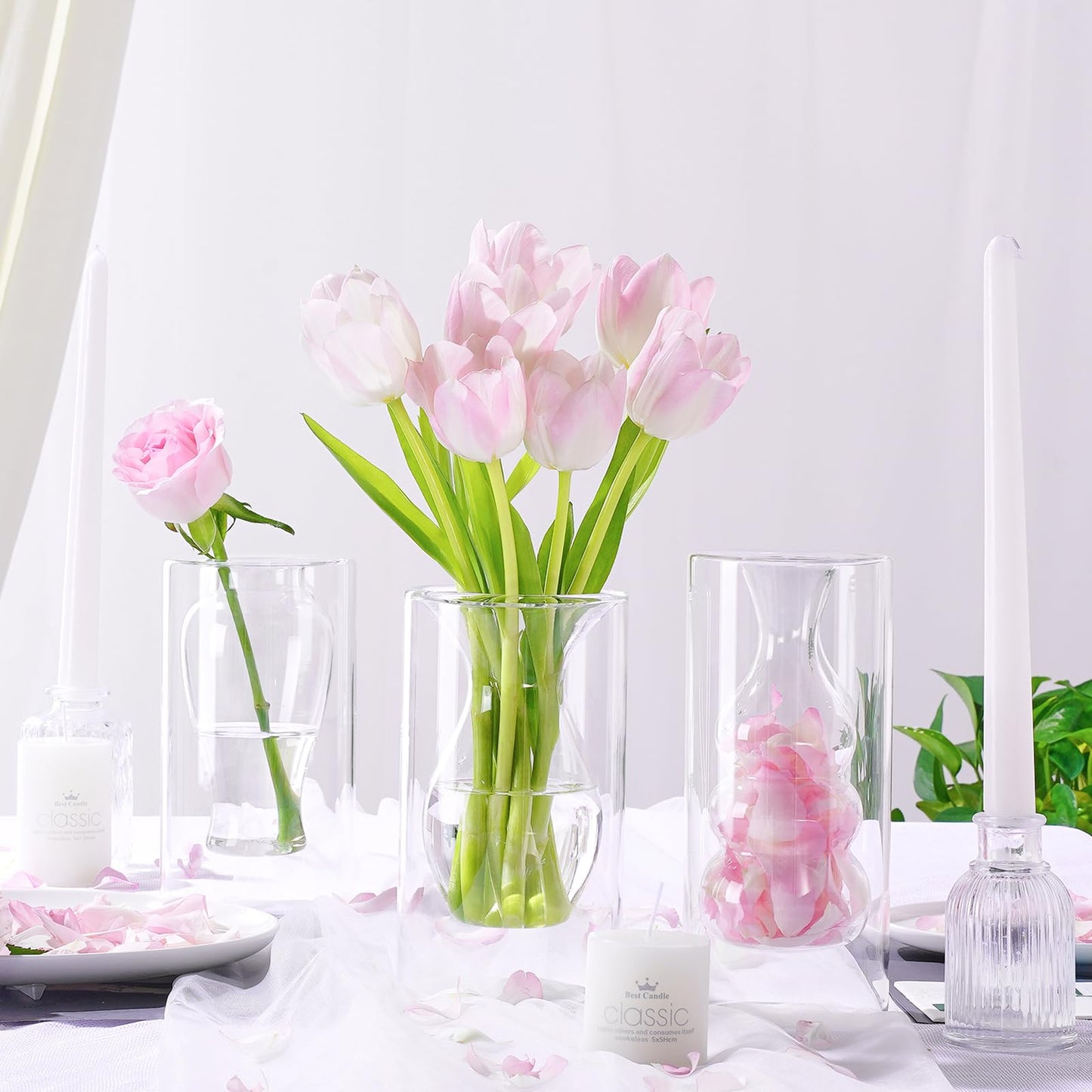 ZENS Clear Glass Bubble Flower Vase, Modern Hand Blown Hollowed Out Glass Vase for Wedding Decorative, Home Décor Small Bouquet.