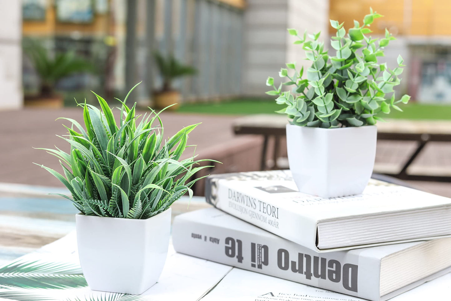 Der Rose Bundle of 2 Pack Small Fake Plants Mini and 2 Packs Fake Hanging Plants Succulents for Home Decor Indoor Office Table Room Farmhouse Bathroom Decor